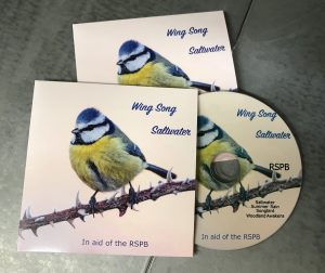 great tit bird on a branch cd raising money for the RSPB