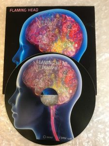 disc and card wallet head and neck mirror image with colourful brain 